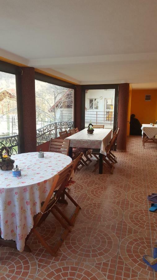 Casa Dodoc Hotel Căciulata Exterior foto